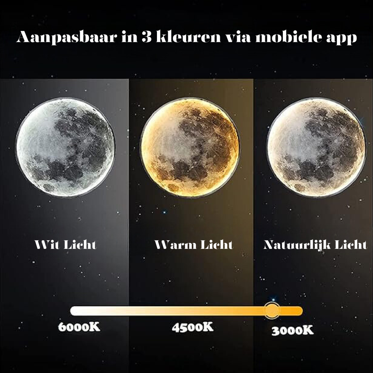 Adjustable Moon Wall Light with LED Ambience