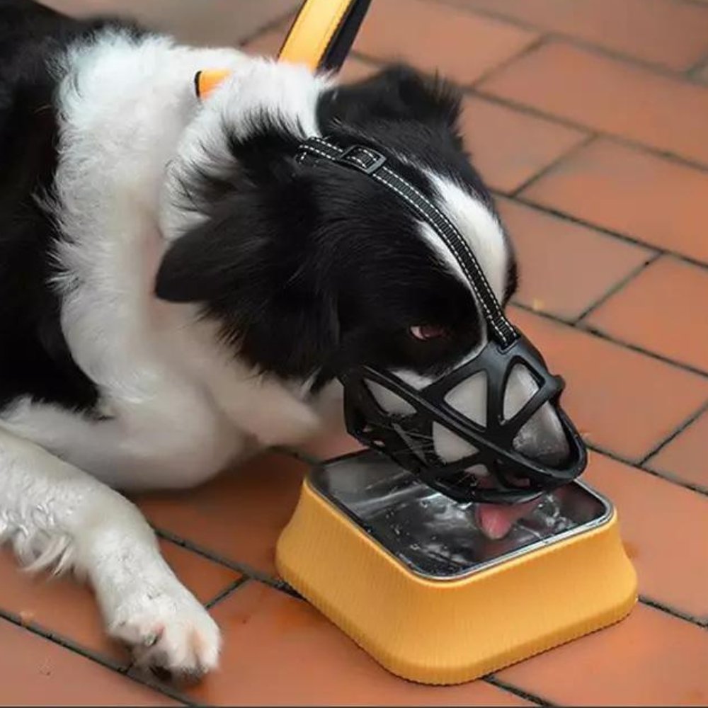 Dog Muzzle – Breathable and Comfortable Anti-Biting and Anti-Barking Solution