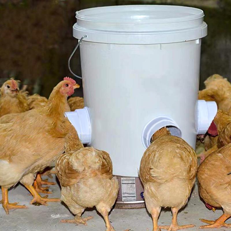 Chicken Feeder