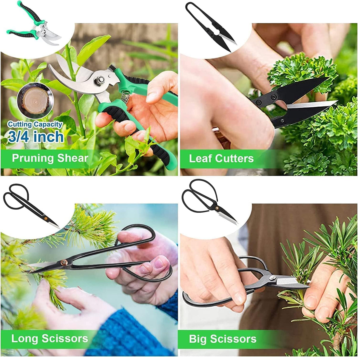 Complete Bonsai Tree Care Kit with High-Carbon Steel Tools