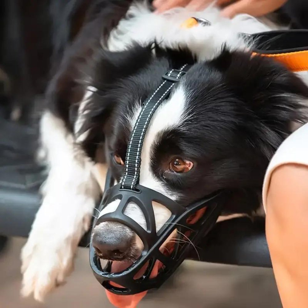 Dog Muzzle – Breathable and Comfortable Anti-Biting and Anti-Barking Solution