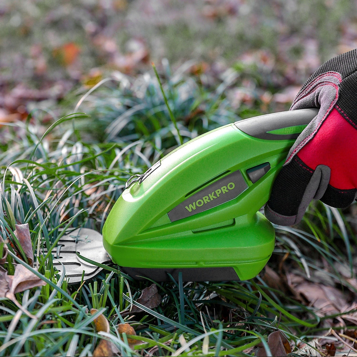 Electric Hedge Trimmer: Efficient Pruning in No Time