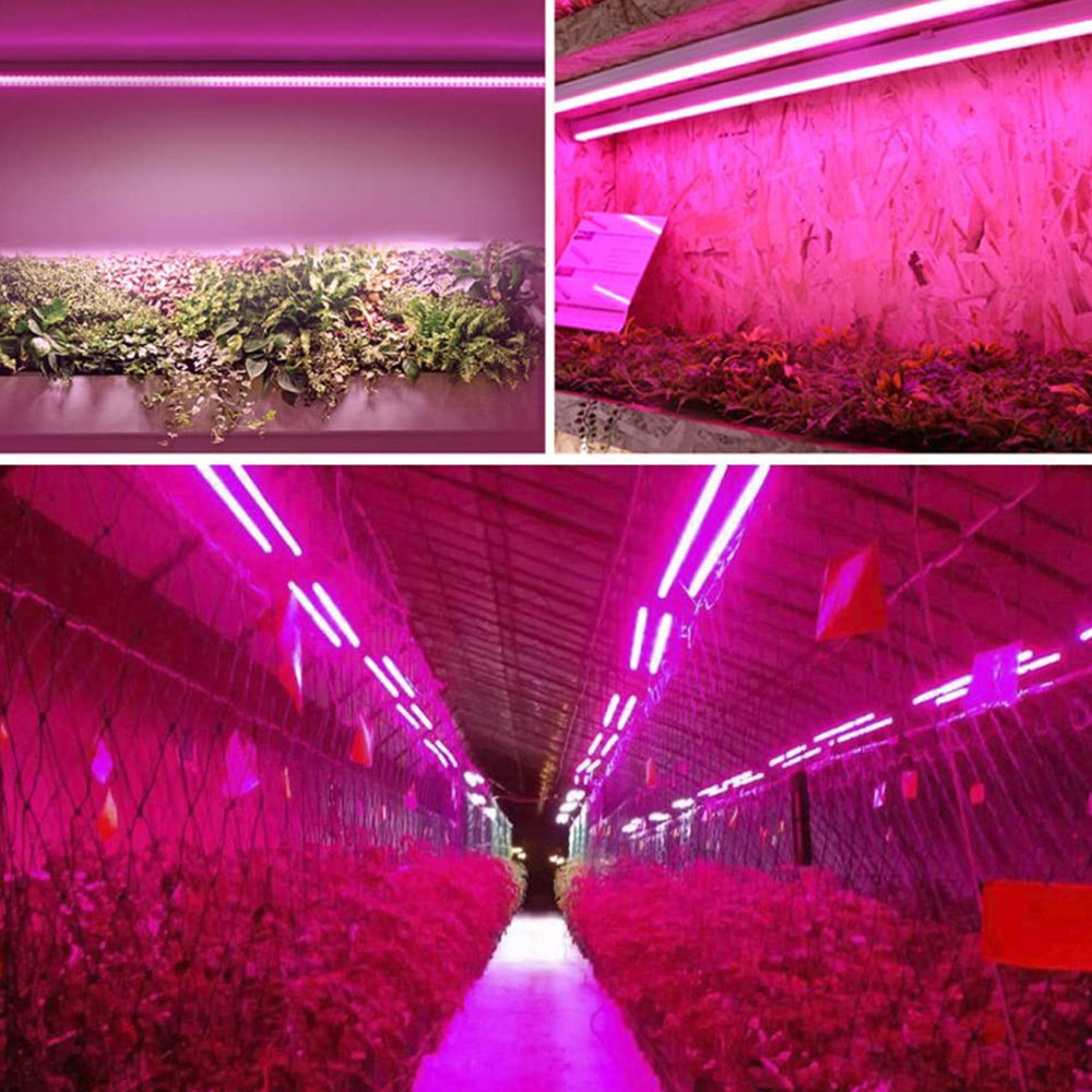 Full-Spectrum LED Grow Light