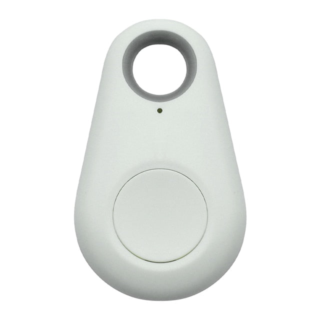 GPS Pet Tag