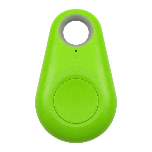 GPS Pet Tag