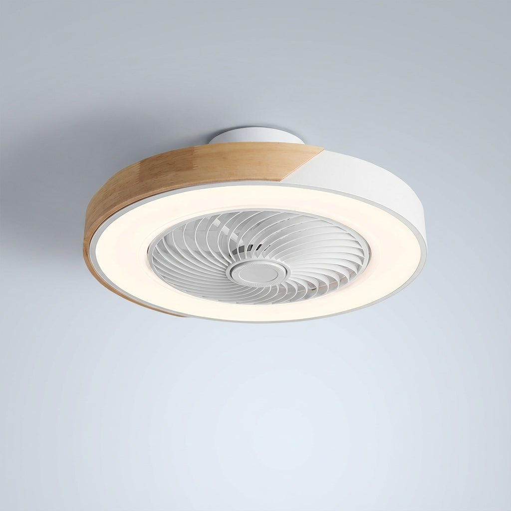 LED Light and Fan Combo Fixture