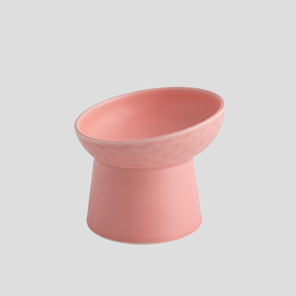 Nordic Style Tilted Ceramic Cat Bowl