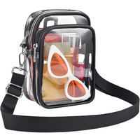 Small Transparent Handbag with Removable Strap