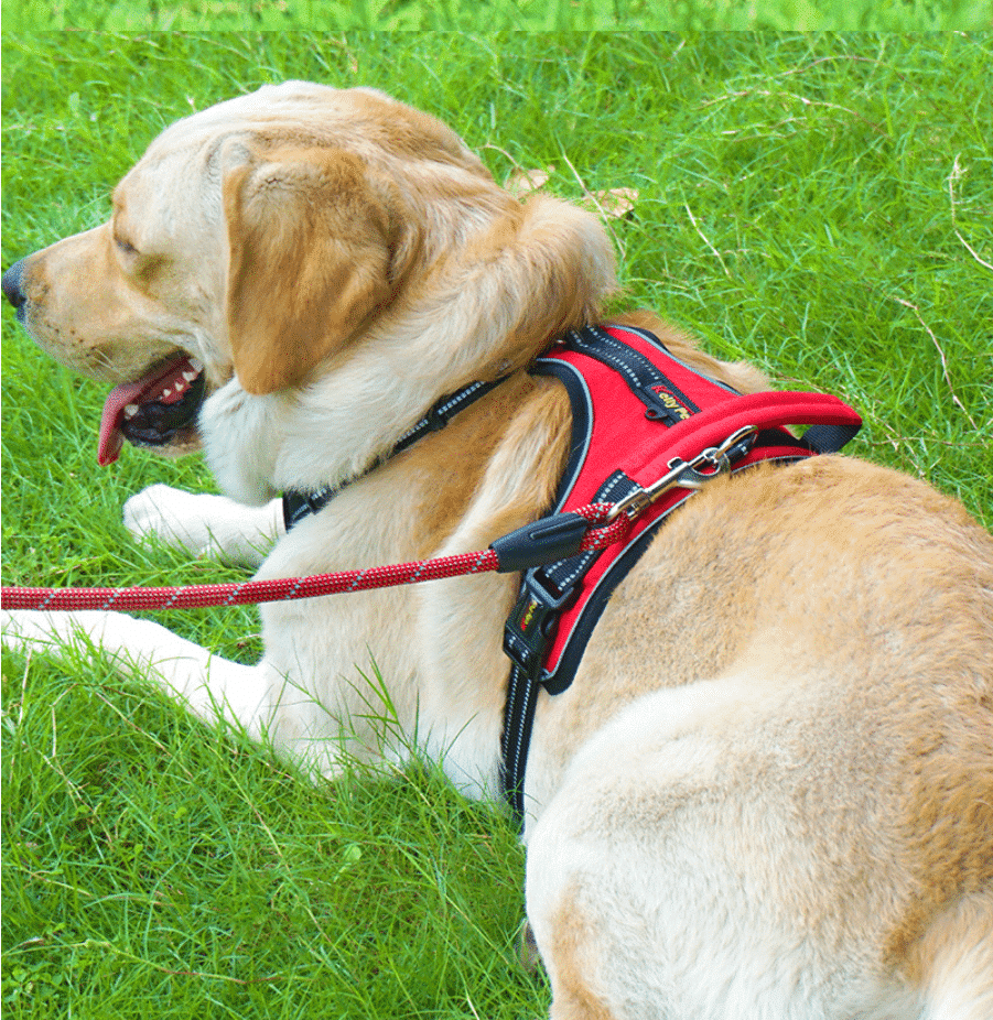 Soft Reflective Dog Harness - Durable & Waterproof - Red, Black, or Blue