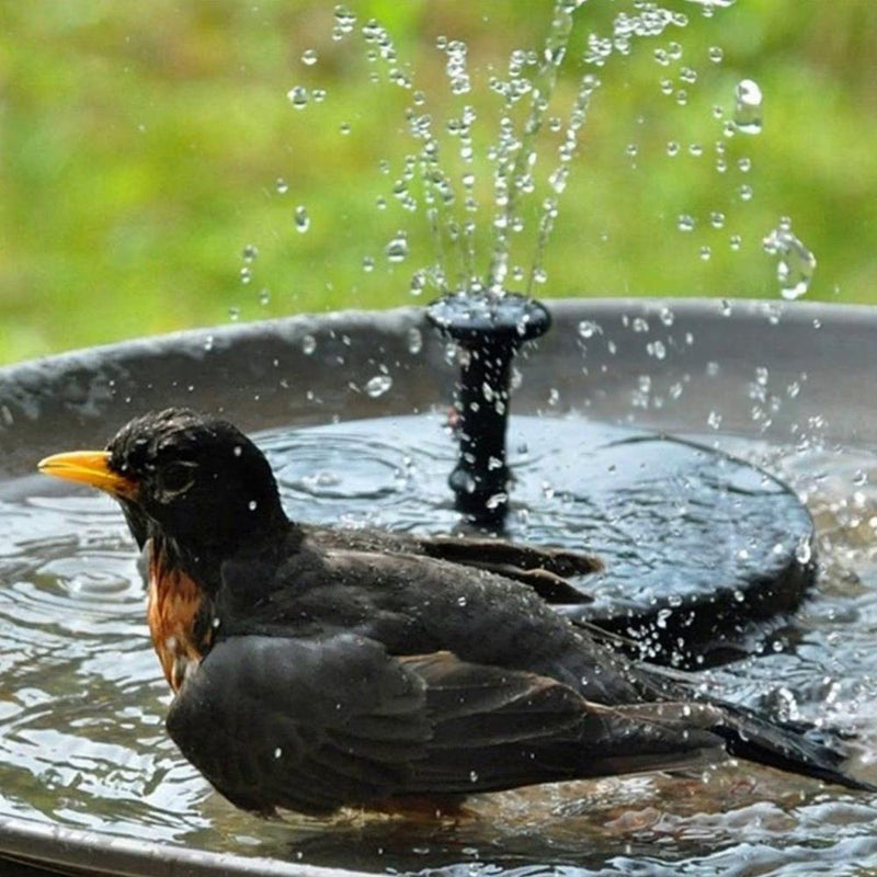 Solar Fountain Pump for Pond, Bird Bath, or Garden Decoration