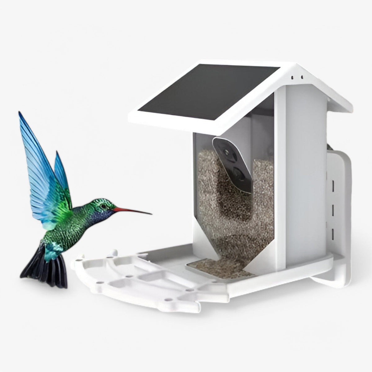Solar-Powered Smart Bird Feeder with 1080P HD Camera, AI Bird Recognition and Wi-Fi
