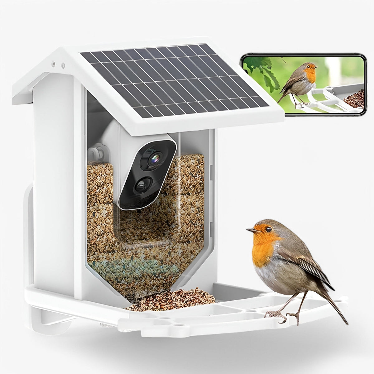 Solar-Powered Smart Bird Feeder with 1080P HD Camera, AI Bird Recognition and Wi-Fi