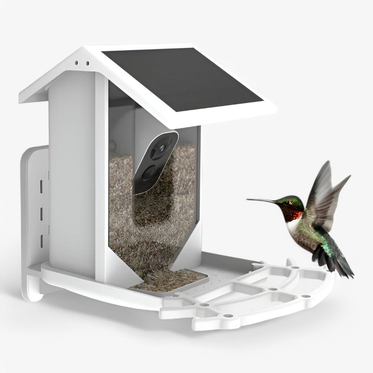 Solar-Powered Smart Bird Feeder with 1080P HD Camera, AI Bird Recognition and Wi-Fi